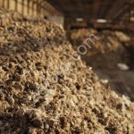 Коровий навоз.