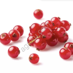 Замороженная ягода : Черника/ Брусника/ Облепиха /Клюква