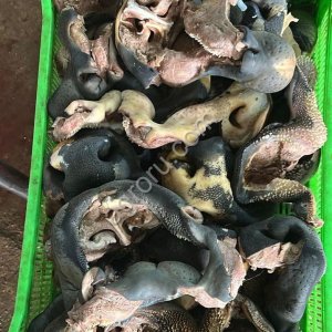 Губонос говяжий опаленный