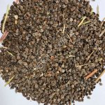 Гречиха сорт Диалог