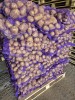 Картофель