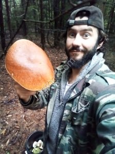 Сушеные грибы