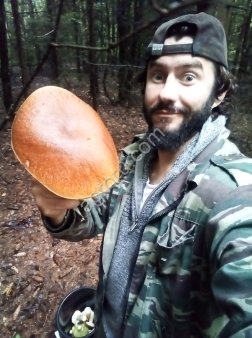 Сушеные грибы