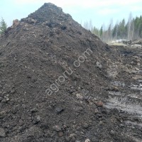 торф