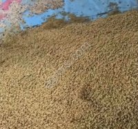 Соя полножирная