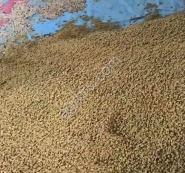 Соя полножирная