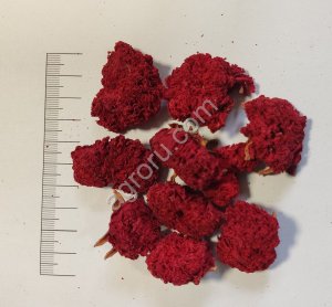 Гранат цвет