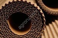 Гофорокартон рулоны