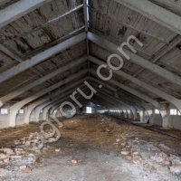 Фермерское хозяйство с молочным и колбасным цехом