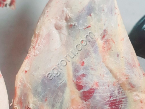 Вынужденный забой корова быка