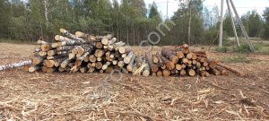 Вырубка, выкорчёвка, переработка в щепу деревьев и корней