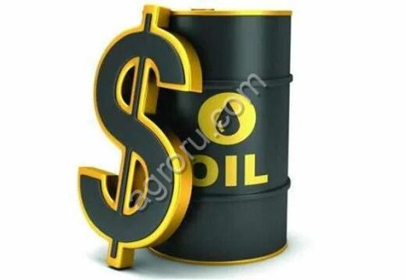 Oil, EN590, LNG