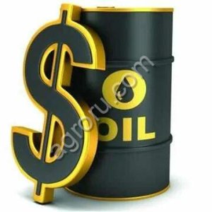 Oil, EN590, LNG