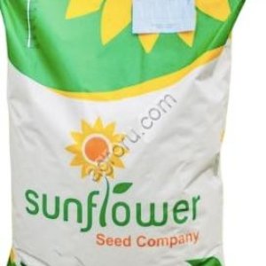 Классический гибрид подсолнечника СФ-8
