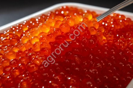 Икра красная горбуши