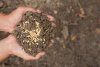 Севооборот и чередование сельхозкультур: секреты эффективного земледелия