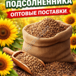 Жмых подсолнечника