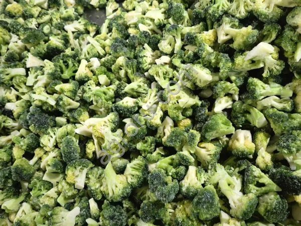 Quick frozen broccoli