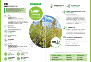семена сои САМЕР-1 (элита)