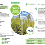 семена сои САМЕР-1 (элита)