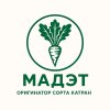 МАДЭТ