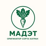 МАДЭТ