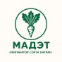 МАДЭТ