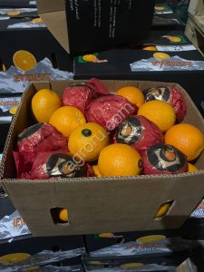 Апельсины оптом