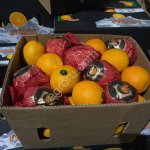 Апельсины оптом