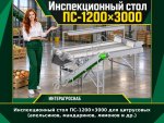 Инспекционный стол ПС-1200×3000 для цитрусовых (апельсинов, мандаринов, лимонов и др.)