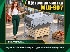Щёточная чистка МЩ-907 для овощной продукции