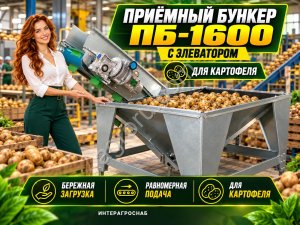 Приёмный бункер ПБ-1600 с элеватором для картофеля