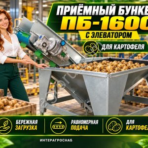 Приёмный бункер ПБ-1600 с элеватором для картофеля