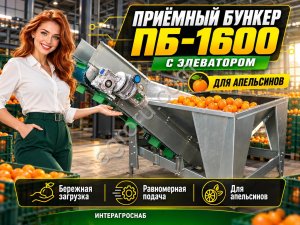 Приёмный бункер ПБ-1600 с элеватором для апельсинов