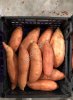 Батат свежий (Sweet Potato)