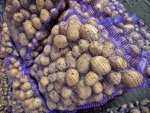Картофель