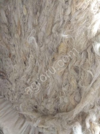 Шерсть мытая сараджинская