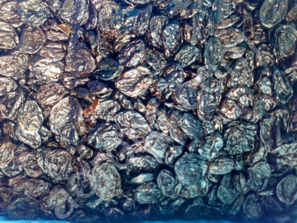 Чернослив б/к элиот