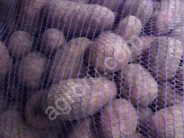 Картофель оптом