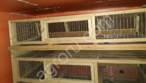 Батарейные клетки для индивидуального птицеводства