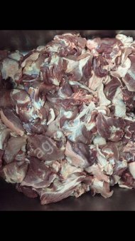 Свинина полутуши,свиноматки, мелковес, кусок.