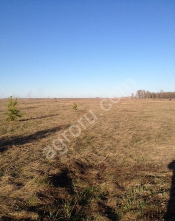 Земельный участок сельскохозяйственного назначения