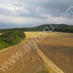 Участок сельхозназначения