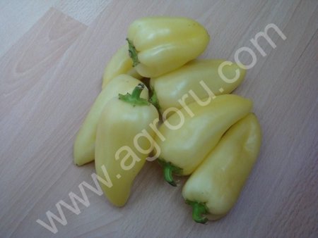 ОВОЩИ ОПТОМ УРОЖАЙ 2016!