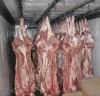 Мясо-свинина в полутушах 2 и 3 категории оптом  ГОСТ Р 53221-2008