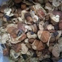 Чернослив, яблоко, груша, изюм, вишня, курага, урюк
