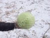 Капуста оптом от производителя.
