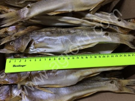 Цимлянский Лещ, Азовская Тарань и многое другое....