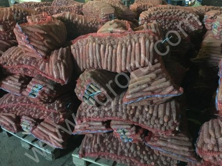 Морковь оптом