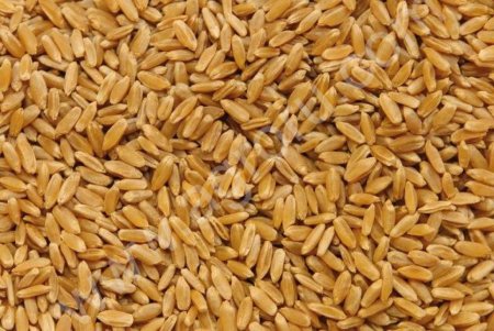 Пшеница 3 класс